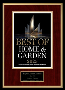 Award - Best of Home and Garden 2025