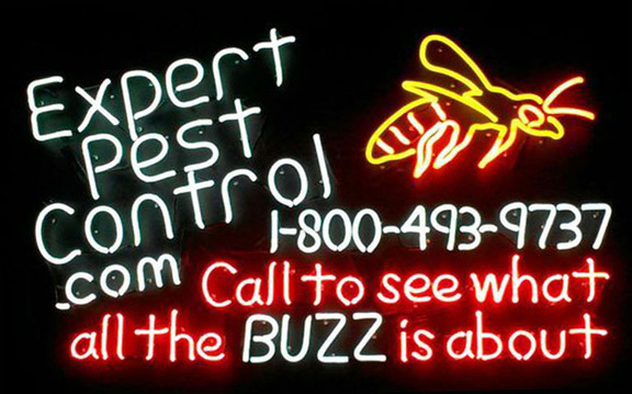 Expert Pest Control in South Jersey / NJ - 1-800-493-9737