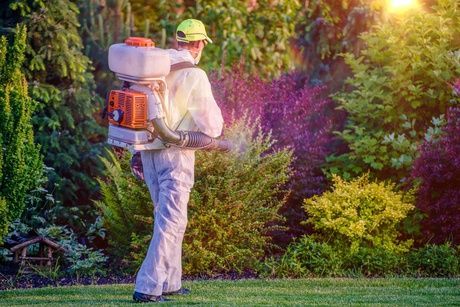 exterminator spraying for mosquitos and ticks